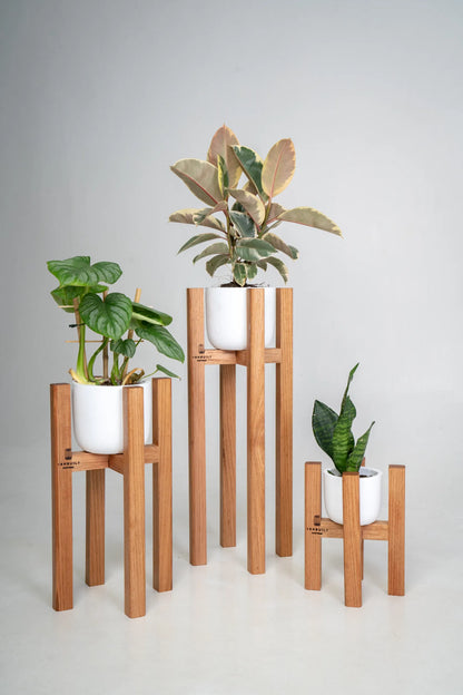 Victorian Ash Plant Stands